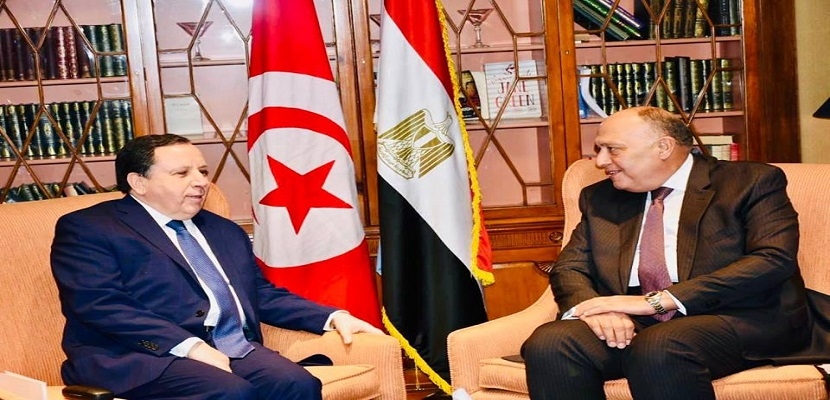 القاهرة.. بحث آفاق العلاقات المشتركة والقضايا الإقليمية ذات الاهتمام المشترك  بين تونس ومصر
