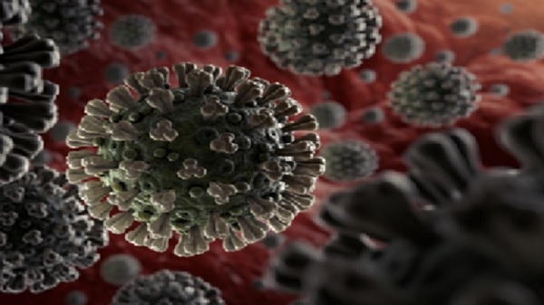 كيف يتسرب فيروس كورونا إلى الجسم دون آلام؟؟