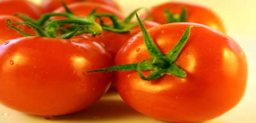اكتشاف علمي جديد حول الطماطم