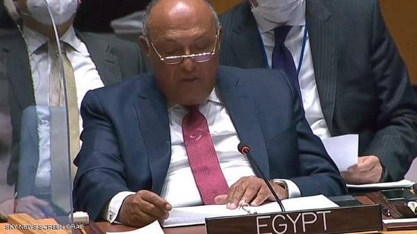 شكري يفسر أهمية طرح أزمة سد النهضة على مجلس الأمن