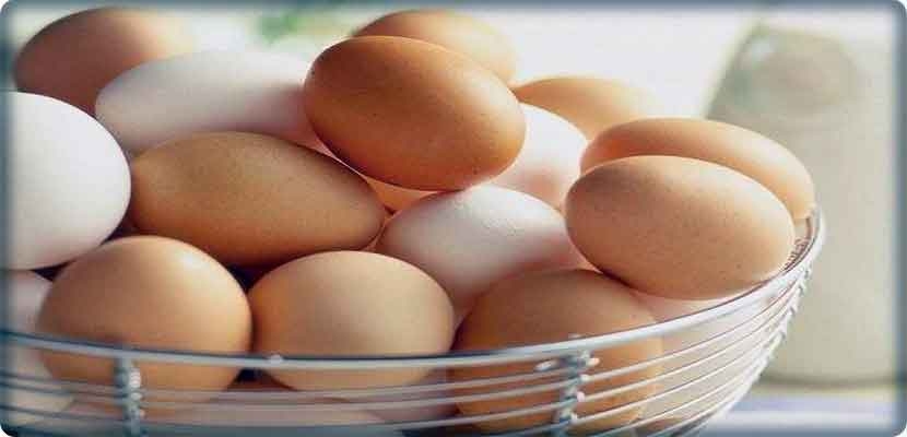 دراسة طبية تعيد البيض إلى دائرة الجدل حول ارتباطه بالموت المبكر