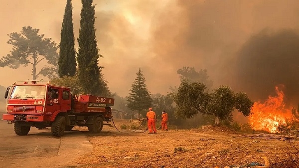 تركيا تعلن “مناطق منكوبة” مع ارتفاع عدد القتلى بسبب حرائق الغابات